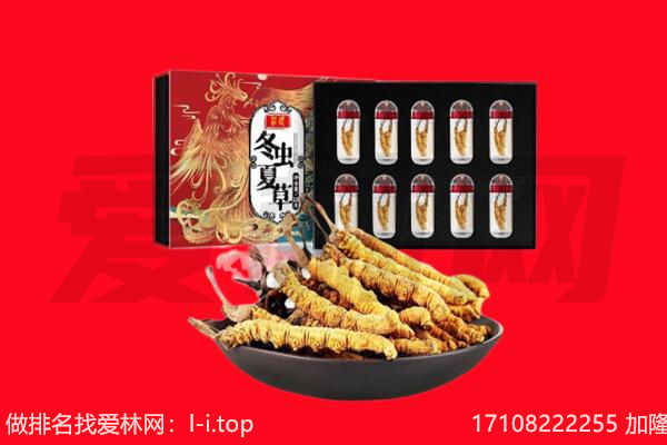 长春南关区回收虫草.jpg